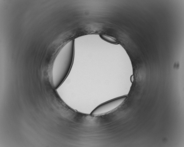 X0000112720570200910011135