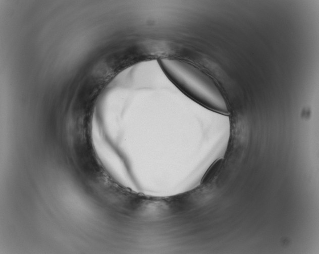 X0000112720572200910011135