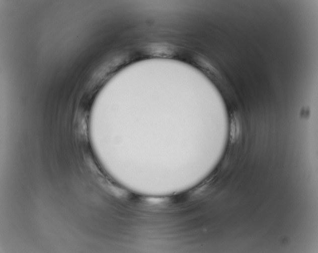 X0000112720573200910011135