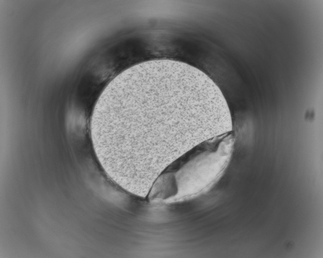 X0000112720574200910011135