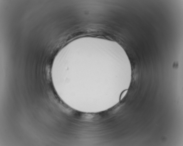 X0000112720575200910011135