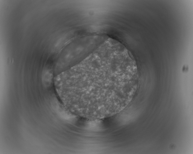 X0000112720576200910011135