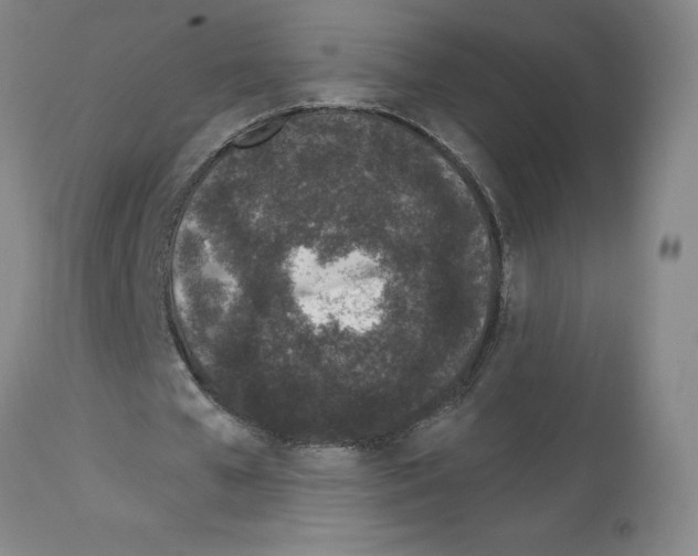 X0000112720577200910011134