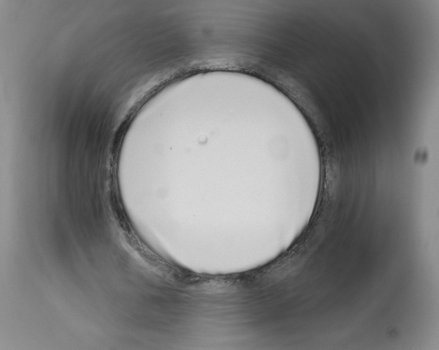 X0000112720578200910011134