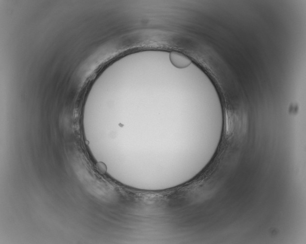 X0000112720579200910011134