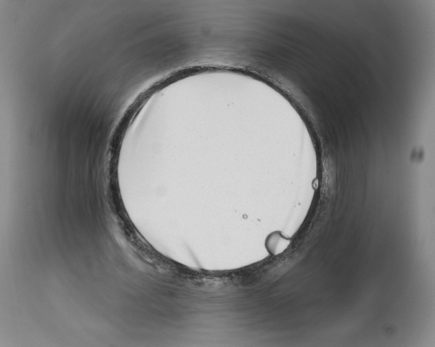 X0000112720580200910011134