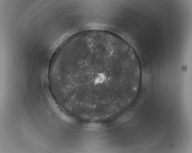 X0000112720581200910011134