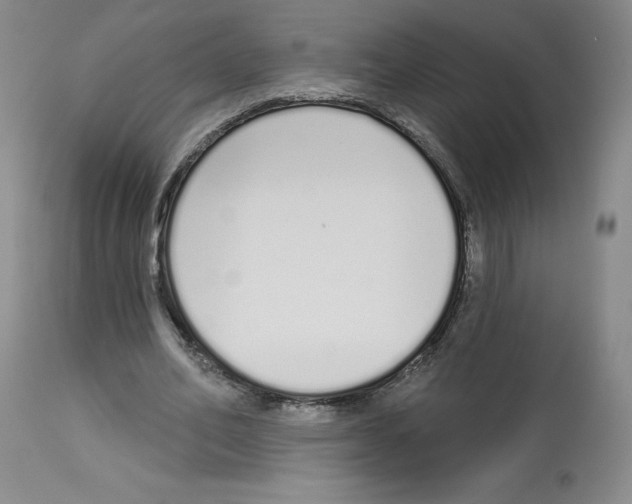 X0000112720582200910011134