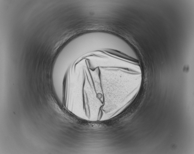 X0000112720585200910011134