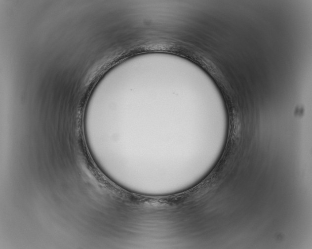 X0000112720586200910011134