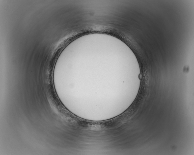 X0000112720587200910011134