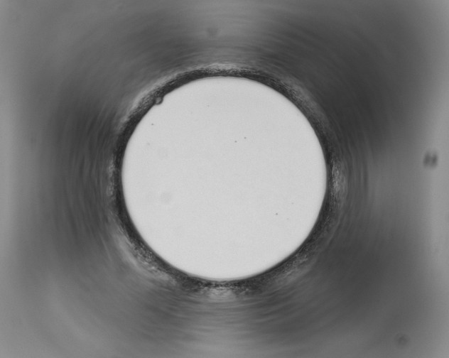 X0000112720588200910011134