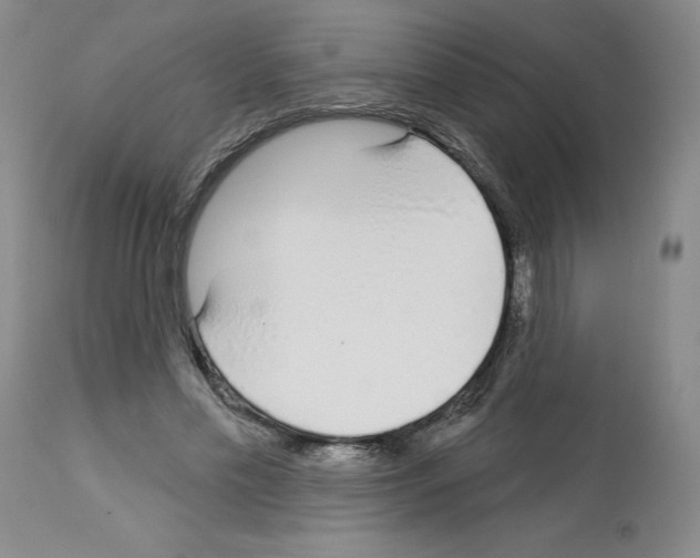 X0000112720589200910011134