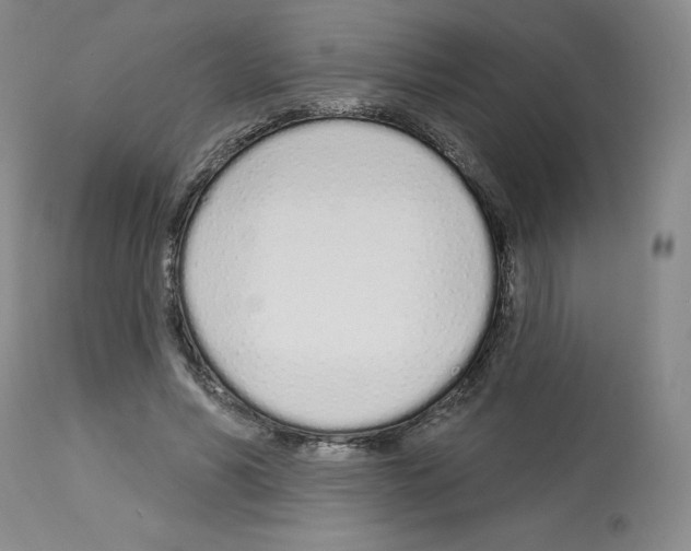 X0000112720590200910011134