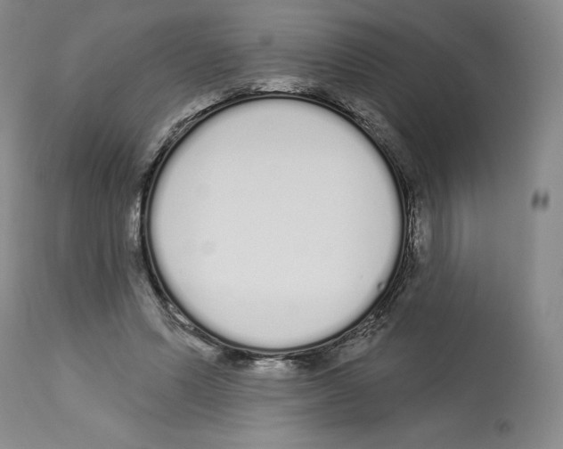 X0000112720591200910011134