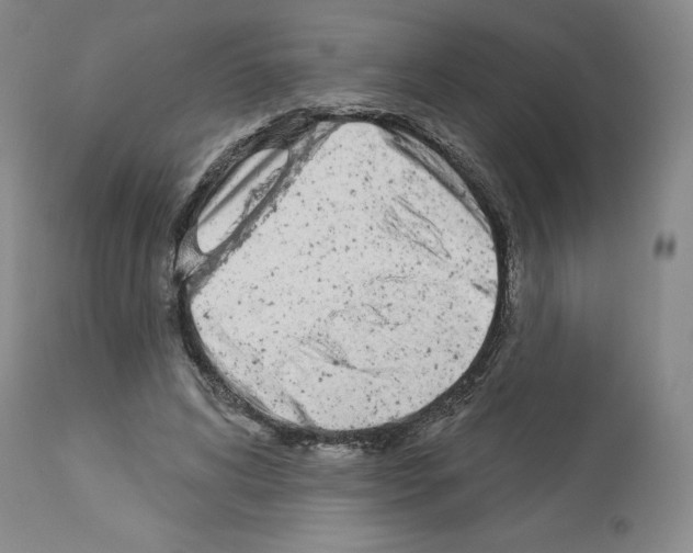 X0000112720592200910011134