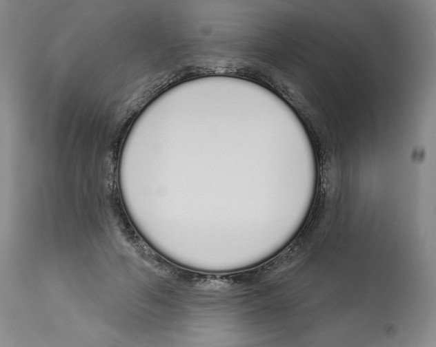 X0000112720594200910011134