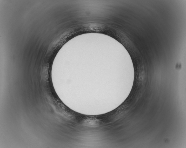 X0000112720595200910011134