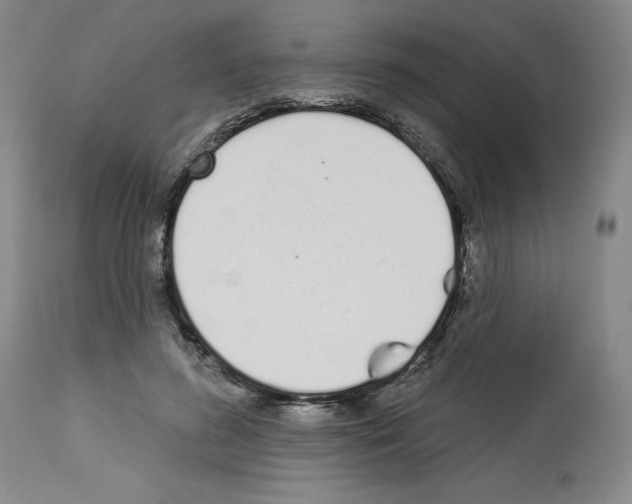 X0000112720596200910011134