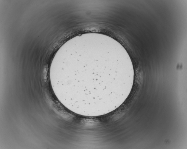 X0000112720597200910011134