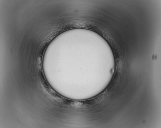 X0000112720598200910011133