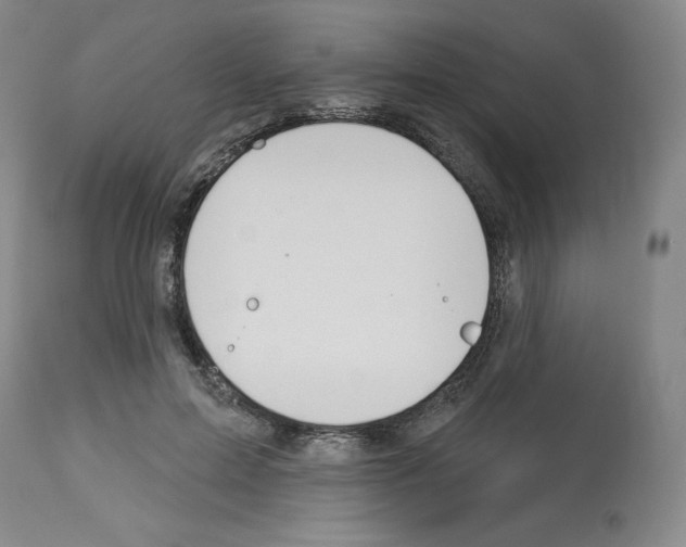 X0000112720599200910011133