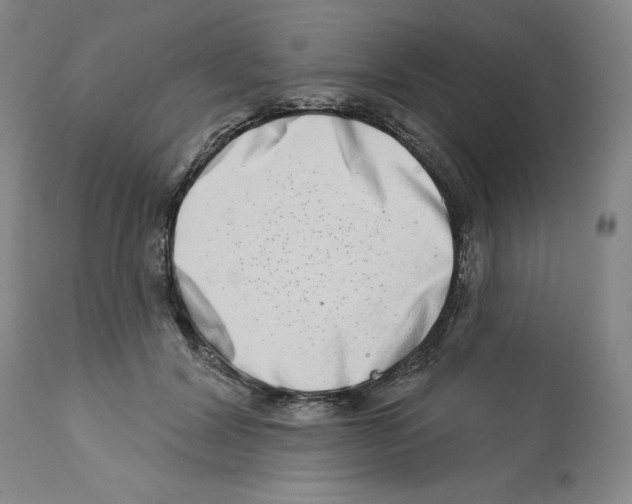 X0000112720604200910011133