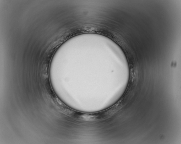 X0000112720606200910011133