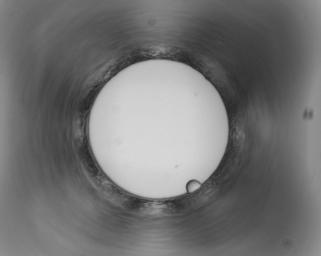 X0000112720607200910011133