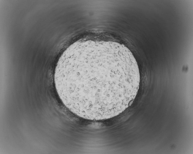 X0000112720609200910011133