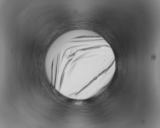 X0000112720611200910011133