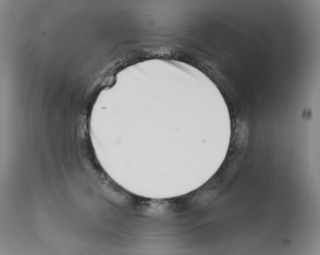 X0000112720612200910011133