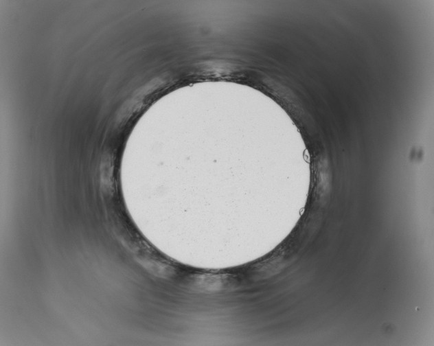 X0000112720615200910011133