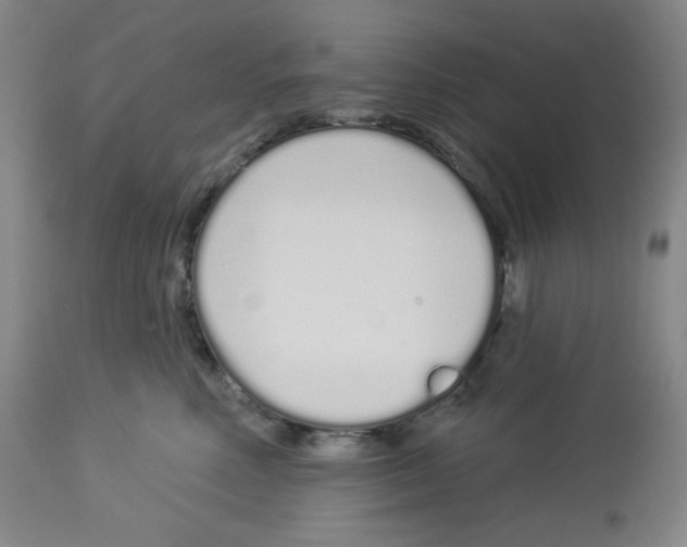 X0000112720618200910011133