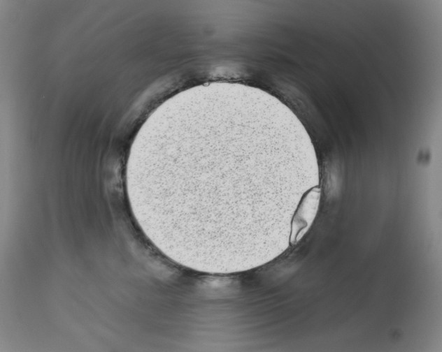 X0000112720619200910011133