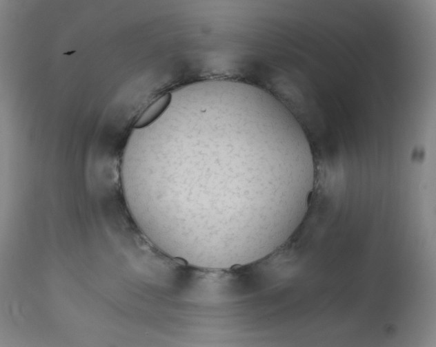 X0000112720621200910011133