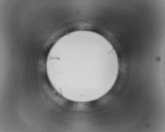 X0000112720622200910011133