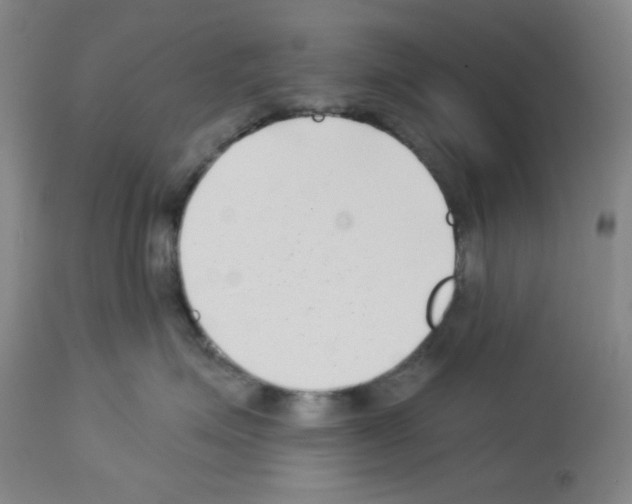 X0000112720623200910011133