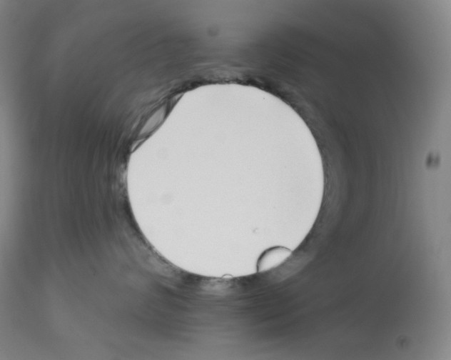 X0000112720624200910011133