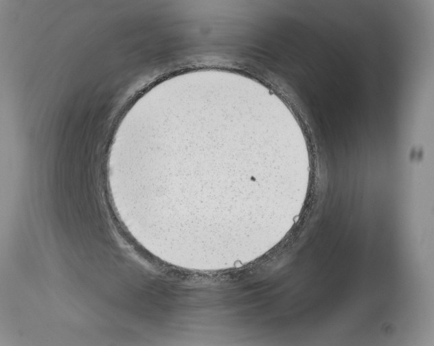 X0000112720625200910011132