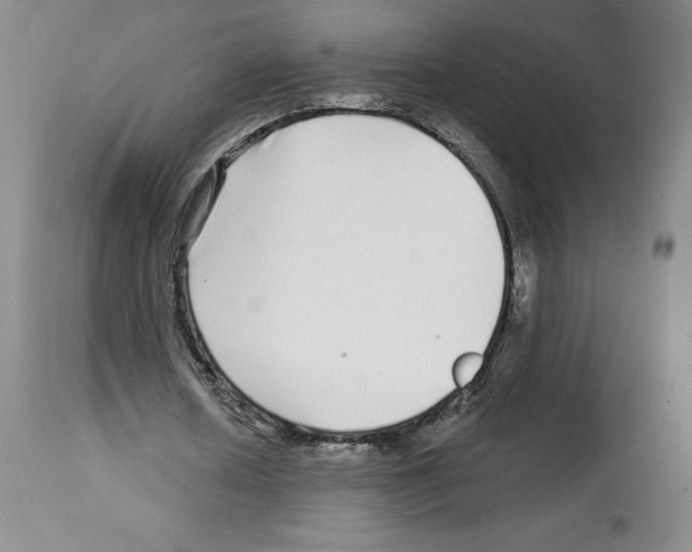 X0000112720626200910011132