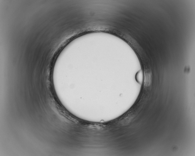 X0000112720627200910011133