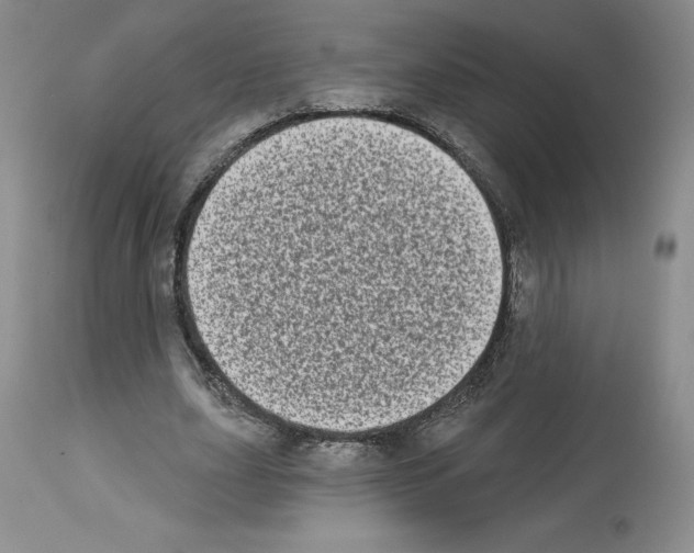 X0000112720631200910011133