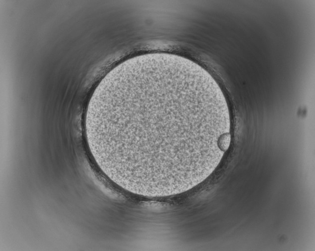 X0000112720633200910011133