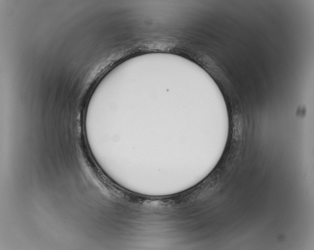 X0000112720634200910011133