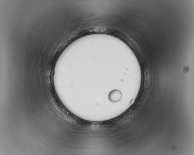 X0000112720641200910011133