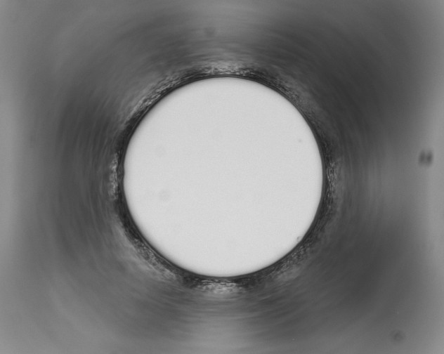 X0000112720642200910011133