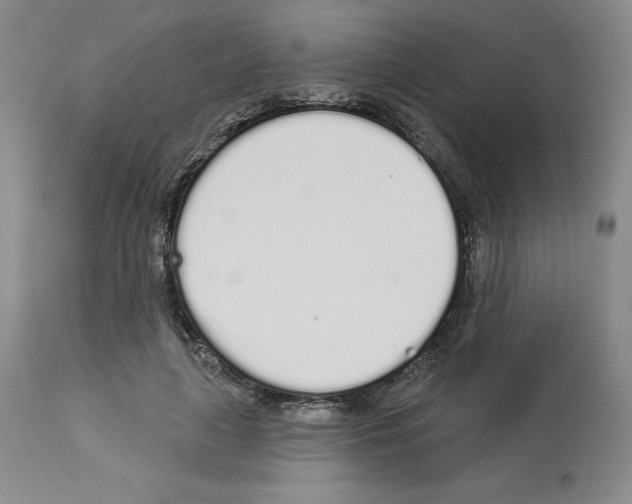 X0000112720643200910011133