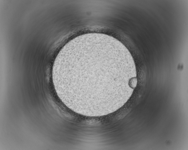 X0000112720644200910011133