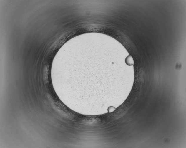 X0000112720646200910011133